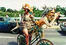 cycle