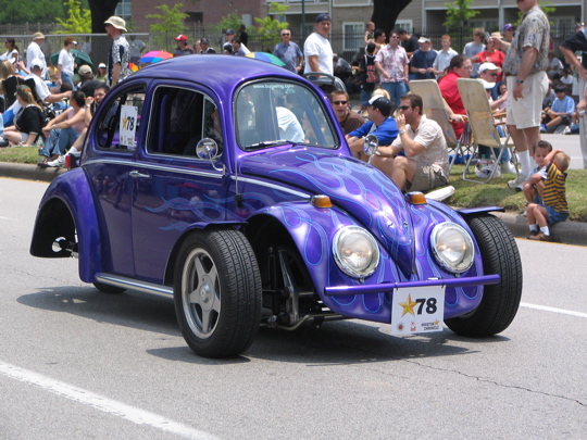 78.bugWing