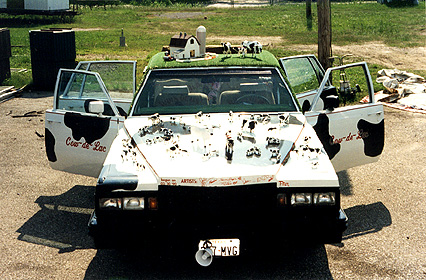 cow front
