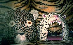 heads