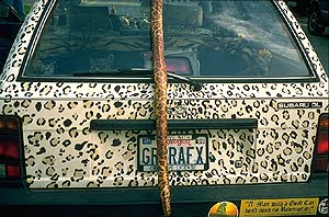 rear of car